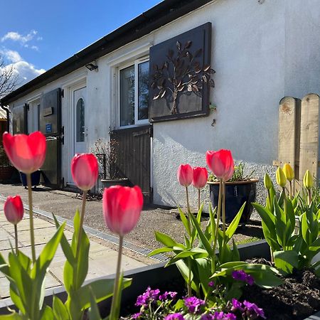 Ferienwohnung The Stables @ The Forge Cronk Y Voddy Saint Johns Exterior foto