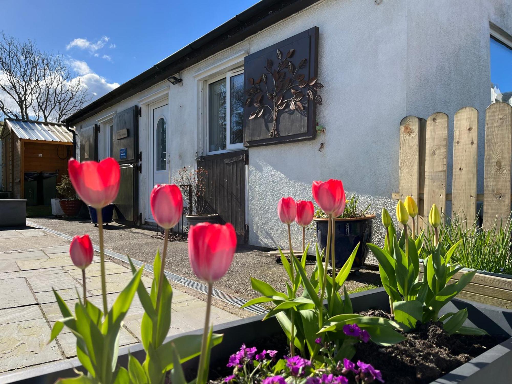 Ferienwohnung The Stables @ The Forge Cronk Y Voddy Saint Johns Exterior foto